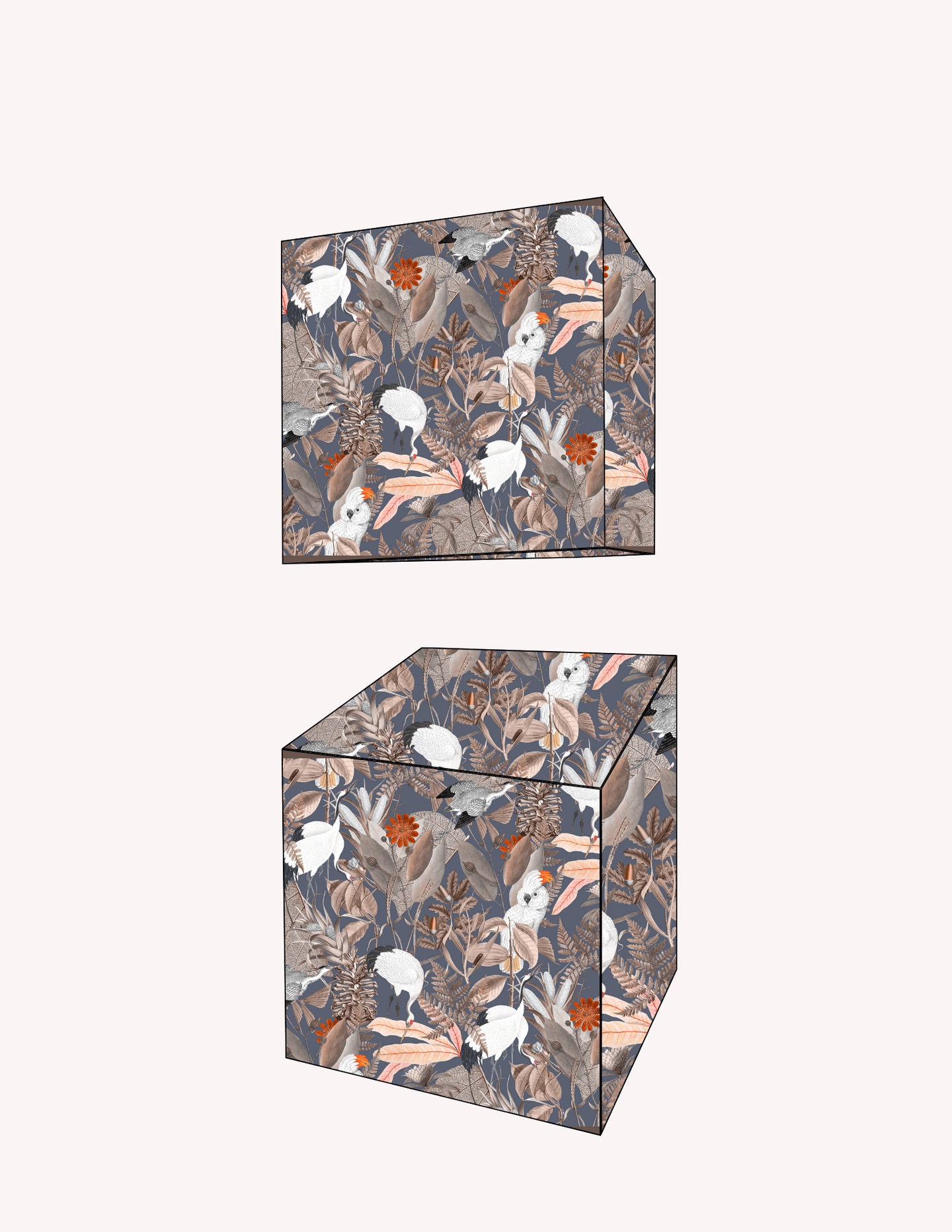 Favour Box